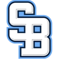 國際布拉蒂斯拉瓦